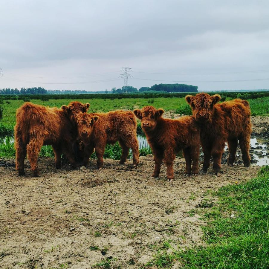 B&B Op De Terp Werkendam Exteriér fotografie