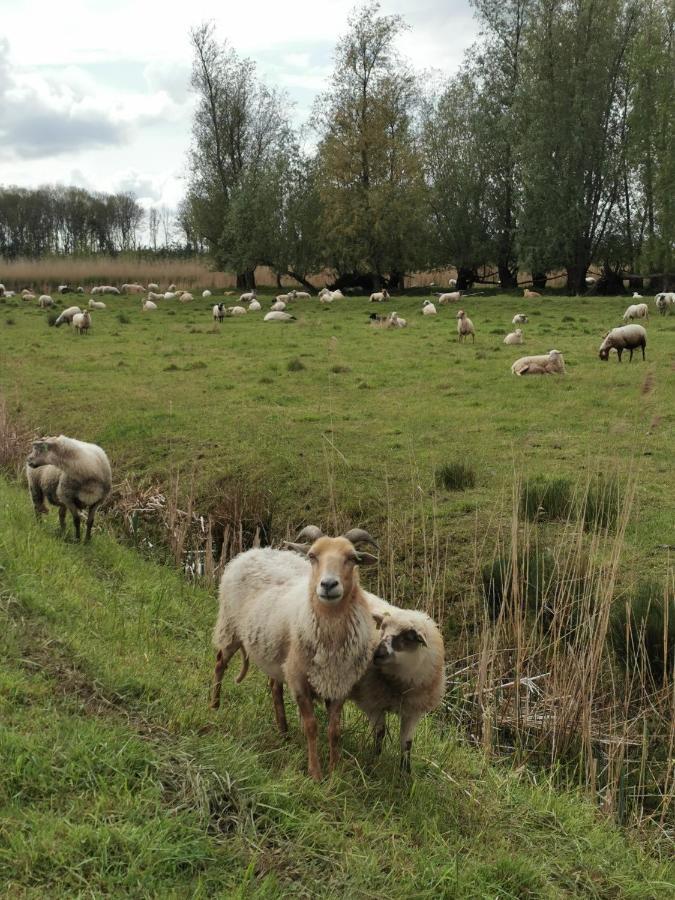 B&B Op De Terp Werkendam Exteriér fotografie