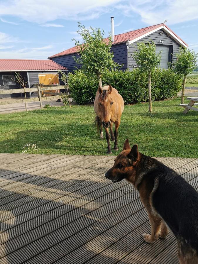 B&B Op De Terp Werkendam Exteriér fotografie