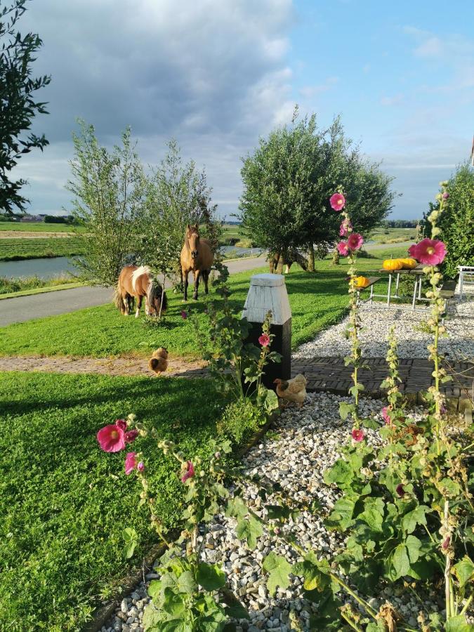 B&B Op De Terp Werkendam Exteriér fotografie