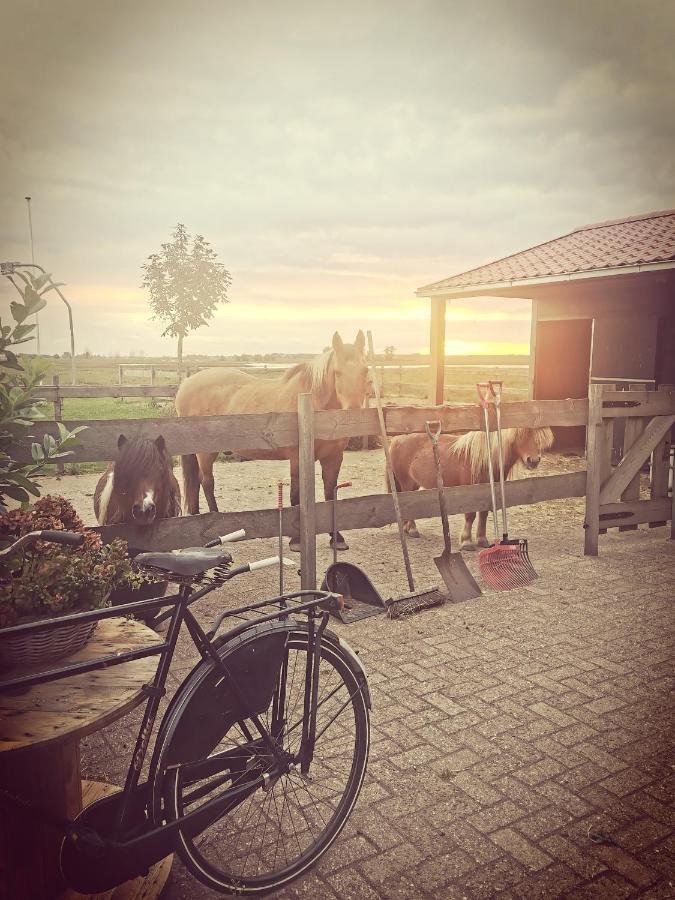 B&B Op De Terp Werkendam Exteriér fotografie